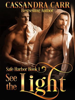 See the Light (Safe Harbor book 1) - ebook